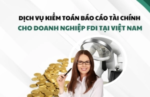 DỊCH VỤ KIỂM TOÁN BÁO CÁO TÀI CHÍNH CHO DOANH NGHIỆP FDI TẠI VIỆT NAM